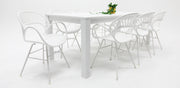 Dallas Fantail 9pc Dining Setting - White